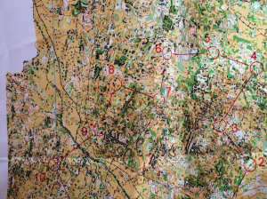 Le terrain de jeu est super et particulièrement complexe. Rien à voir avec notre montagne de Reims sillonnée de chemins, de fossés, de layons, etc.. Ici, des rochers qui se ressemblent, des buis dans lesquels il est facile de cacher les balises, des risques de trous pouvant être dangereux voir un peu effrayant (rempli d’os de brebis tombées dans ce trou), des vestiges de chenilles processionnaires obligeant les coureurs à se couvrir les membres. J’ai A-DO-RE cela même si parfois le découragement guette